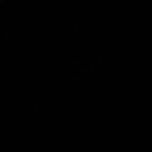 Meet your Posher, Will